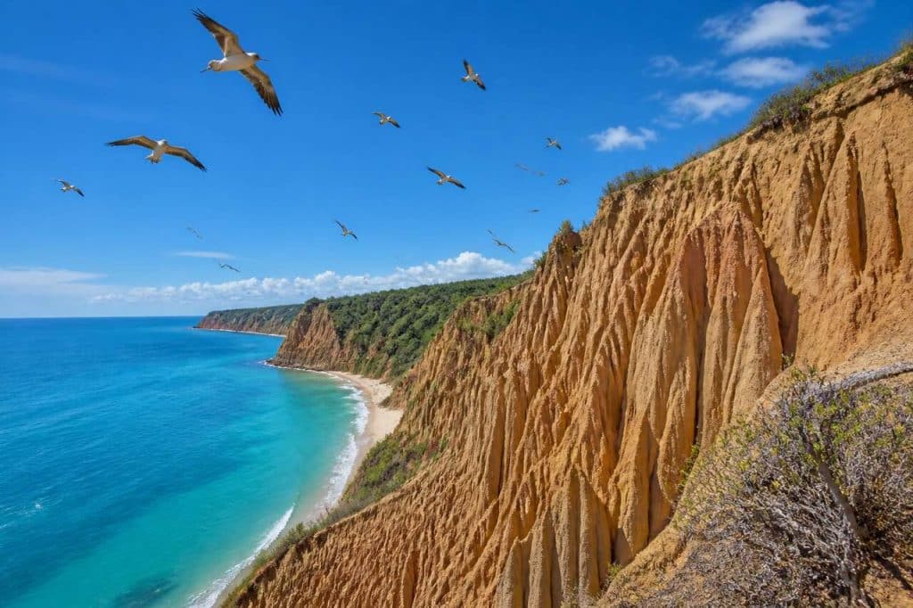 Découverte des oiseaux rares au parc de Sinite Kamani